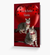 ❁ ♥¸.•*AM I YOUR PURRFECT VALENTINE?❁ ♥¸.•* Greeting Card