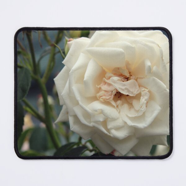 Item preview, White roses designed and sold by Vesna Martinjak.