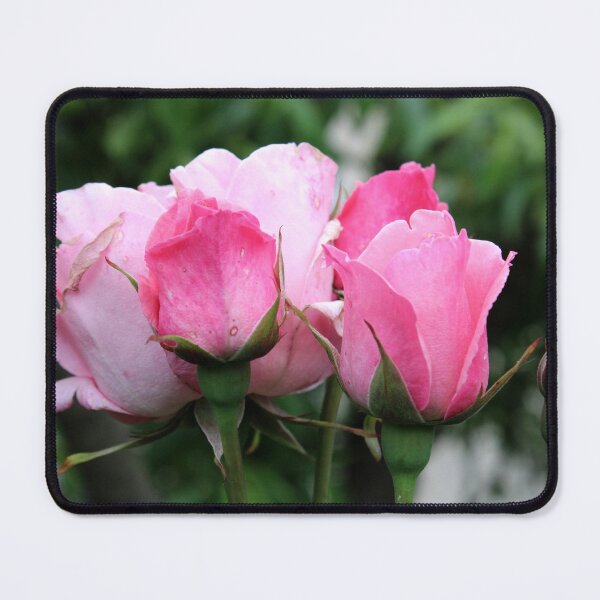 Item preview, Rose designed and sold by Vesna Martinjak.