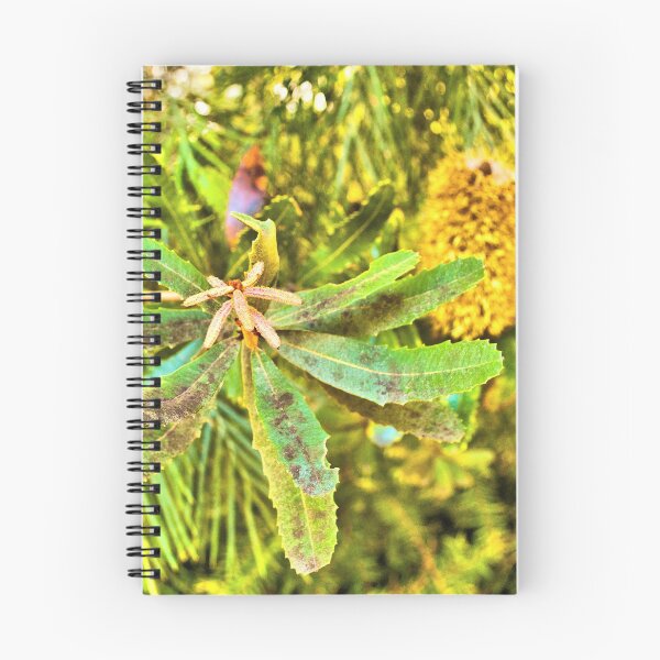 Item preview, Banksia Robur designed and sold by Margaret Stevens.