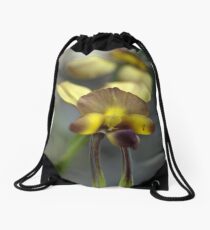 Orienteering Drawstring Bag
