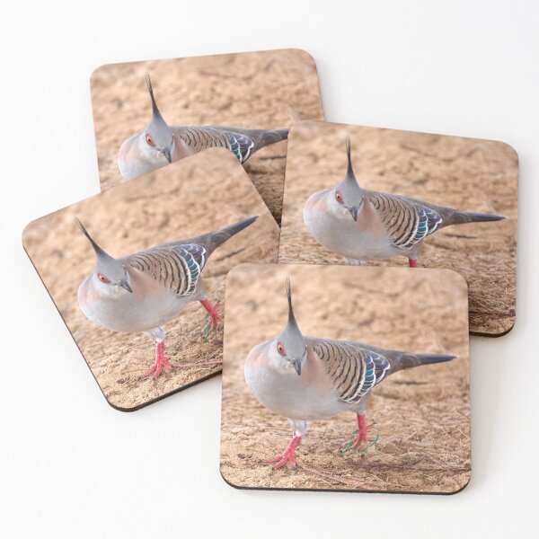Item preview, Crested Pigeon designed and sold by Robert Elliott.