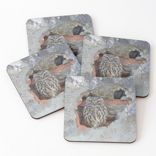 Item preview, Little owl sitting in a hole designed and sold by sgrphotography.
