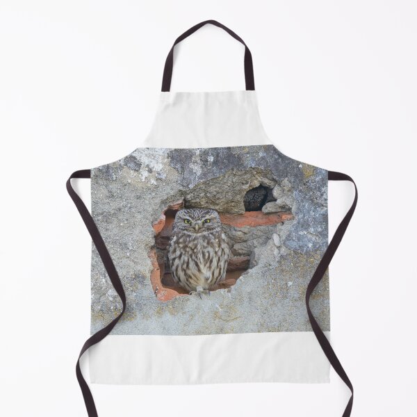 Item preview, Little owl sitting in a hole designed and sold by sgrphotography.