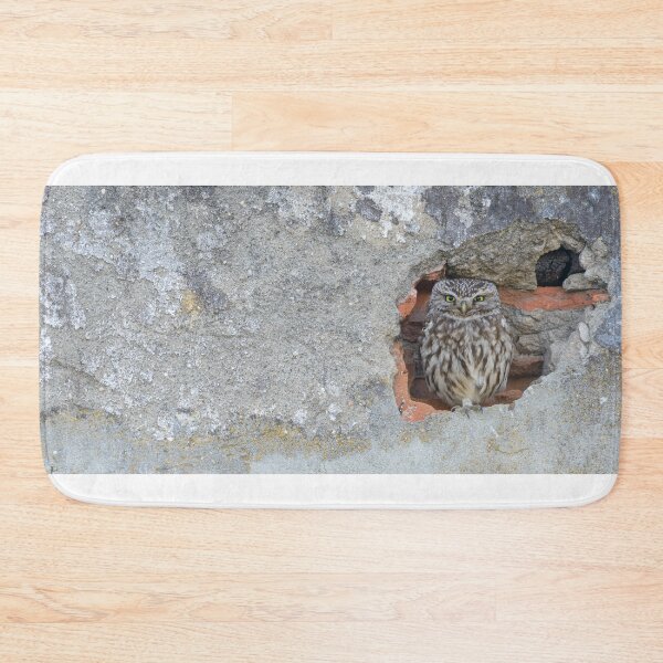Item preview, Little owl sitting in a hole designed and sold by sgrphotography.