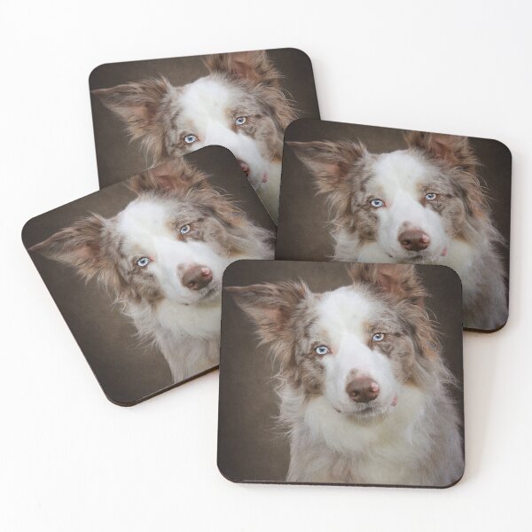 Item preview, Border Collie Puppy designed and sold by Carrie Southerton Dog Photography.
