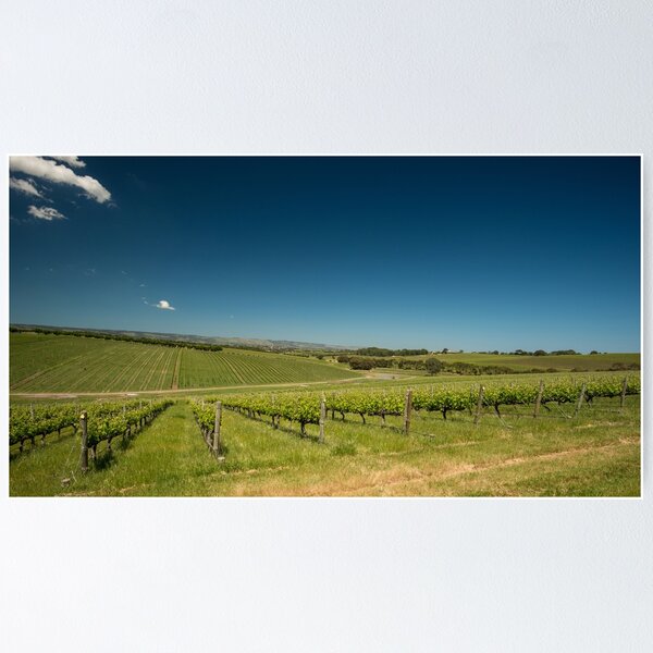 Item preview, McLaren Vale, South Australia designed and sold by SusanAdey.
