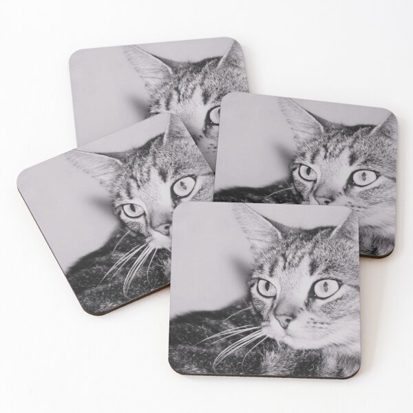 Item preview, tabby cat black and white designed and sold by Francespoppy.