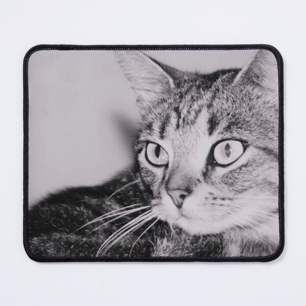 Item preview, tabby cat black and white designed and sold by Francespoppy.