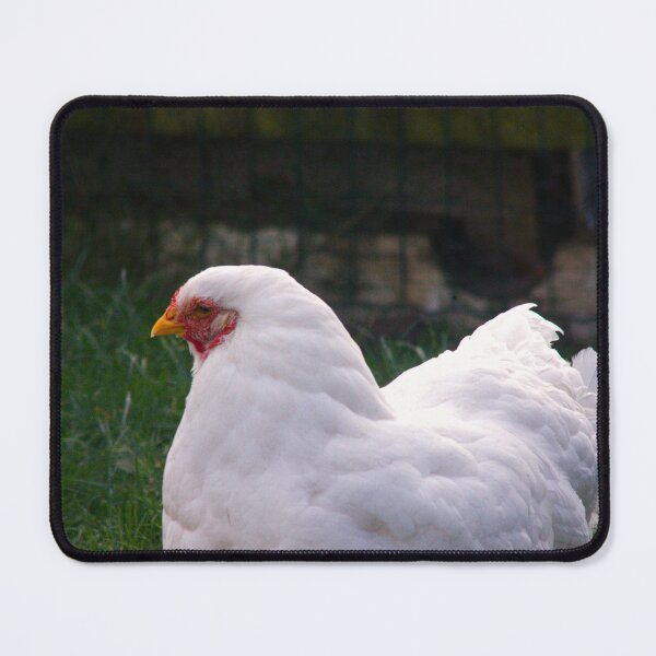 Item preview, white chicken designed and sold by Francespoppy.