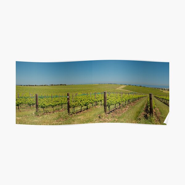 Vineyards of McLaren Vale, South Australia Poster