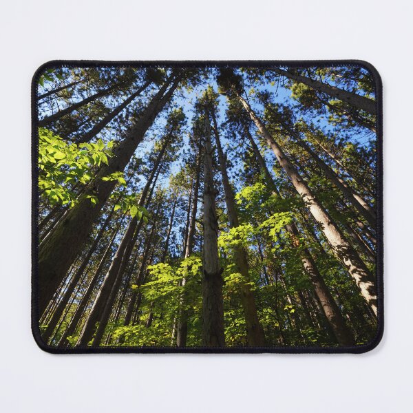 Item preview, Living Among Giants designed and sold by RCNaturephotos.