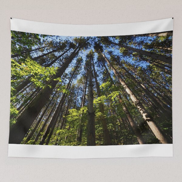 Item preview, Living Among Giants designed and sold by RCNaturephotos.