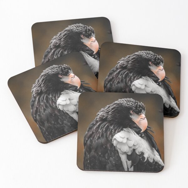 Item preview, Steller's sea eagle AKA Pacific sea eagle designed and sold by Everydayphoto.