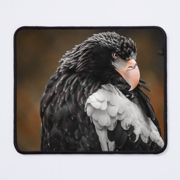 Item preview, Steller's sea eagle AKA Pacific sea eagle designed and sold by Everydayphoto.