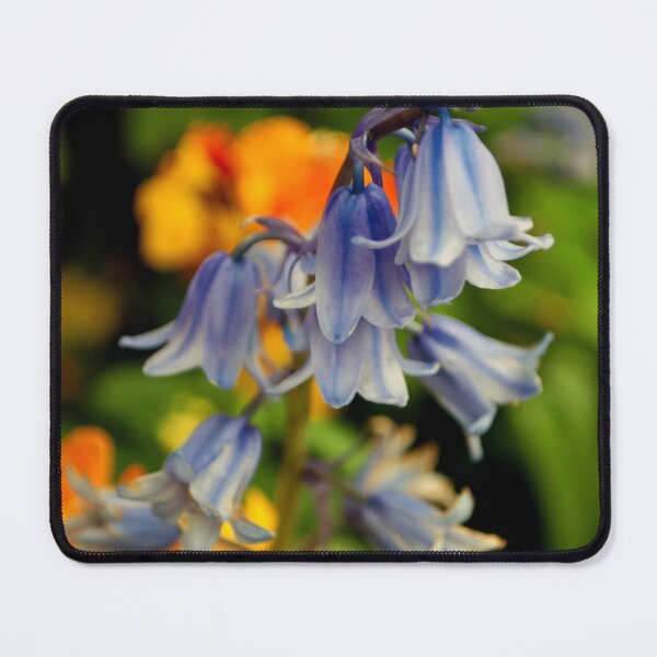 Item preview, Bluebells Spring Flowers Hyacinthoides designed and sold by AndyEvansPhotos.