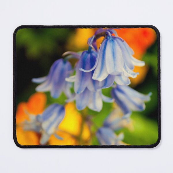Item preview, Bluebells Spring Flowers Hyacinthoides designed and sold by AndyEvansPhotos.