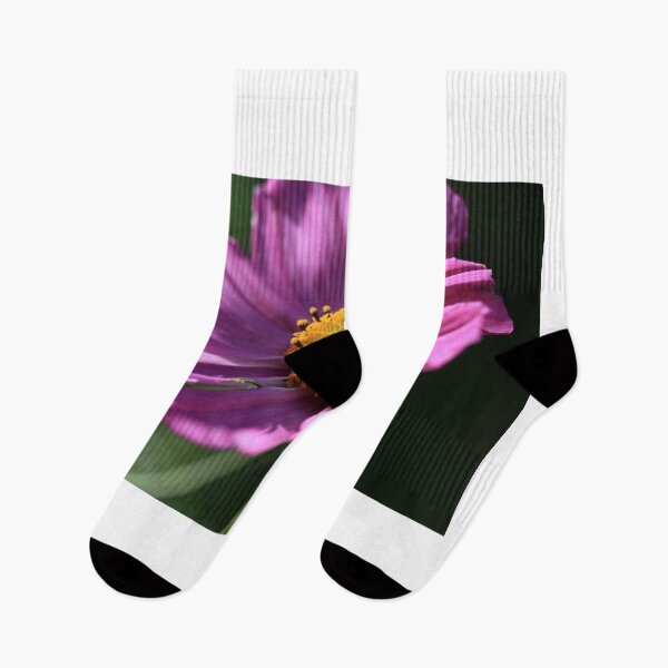 Item preview, Purple cosmos flower on nature background designed and sold by olena2552.