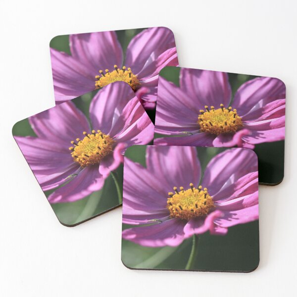Item preview, Purple cosmos flower on nature background designed and sold by olena2552.