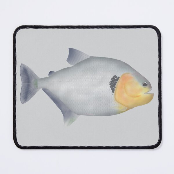 Item preview, Piranha Murutinga designed and sold by fishfolkart.