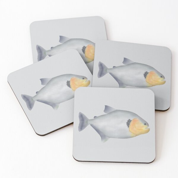 Item preview, Piranha Murutinga designed and sold by fishfolkart.
