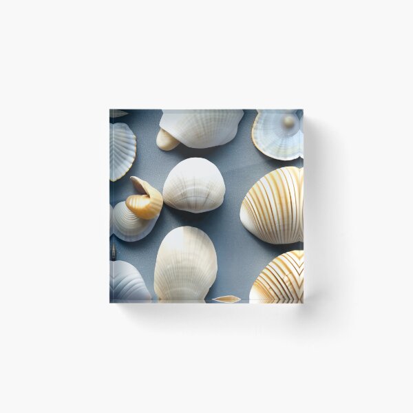 Item preview, shells designed and sold by OverAltruist.