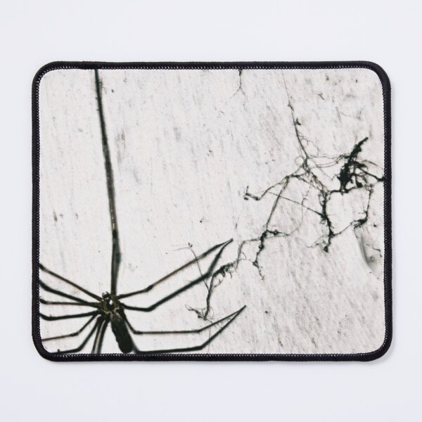 Item preview, Spider designed and sold by Francespoppy.