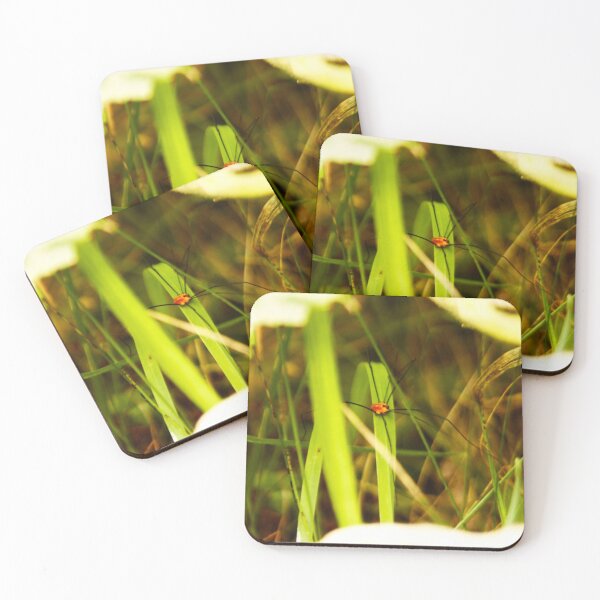 Item preview, Spider among green grass designed and sold by Francespoppy.