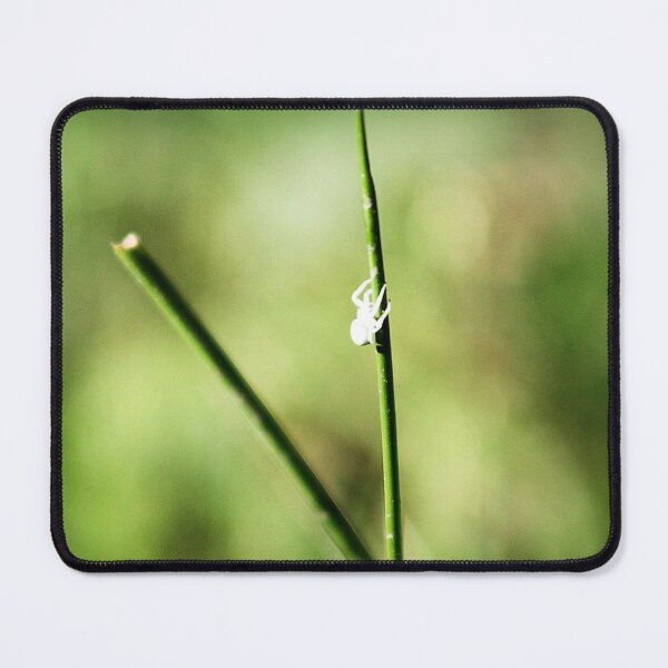 Item preview, crab spider designed and sold by Francespoppy.