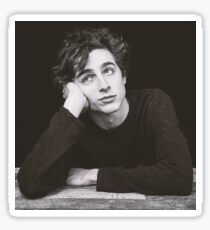 Timothée Chalamet Sticker