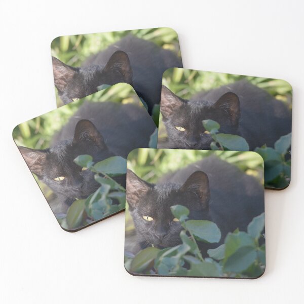 Item preview, Black cat hiding designed and sold by sgrphotography.