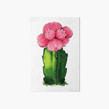 CACTUS & SUCCULENTS CUSTOMIZED SKETCHBOOK Journal - Cactus & Succulent –  Printing The Moon