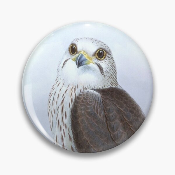 Item preview, Saker Falcon, 1800s Vintage Bird Art by Joseph Wolf and H. C. Richter designed and sold by VintageRestored.