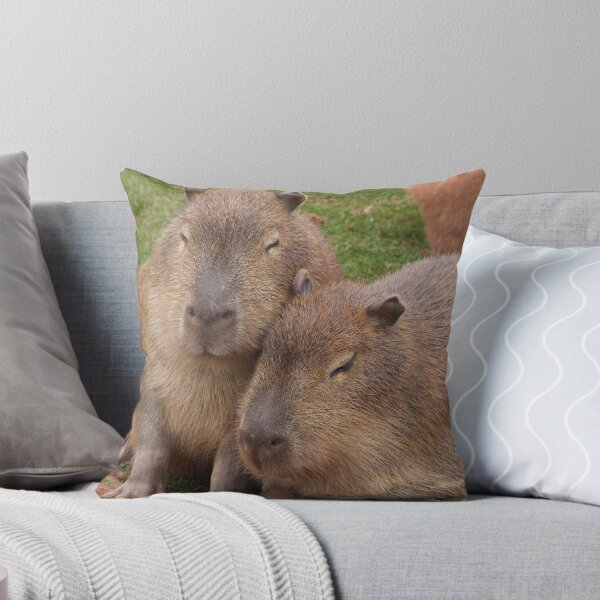 Artikel-Vorschau von Capybara Liebe, designt und verkauft von wenniewombat.