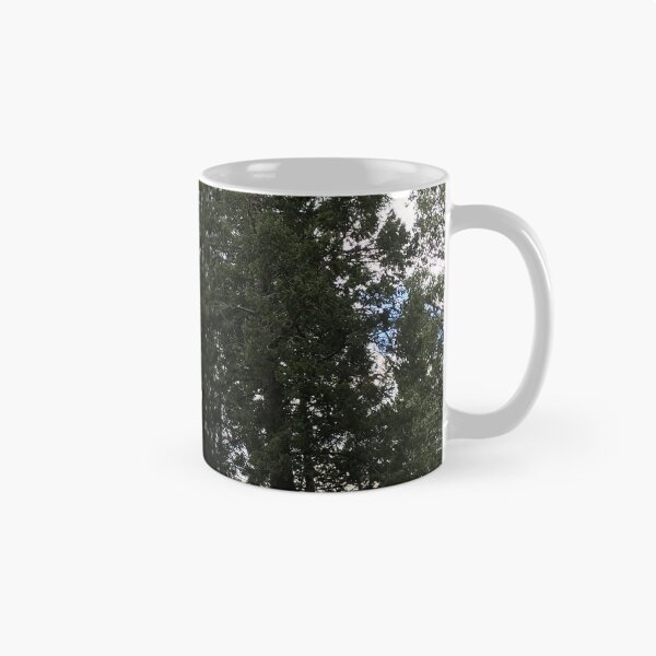 Item preview, Forestry designed and sold by SlothyShaw.