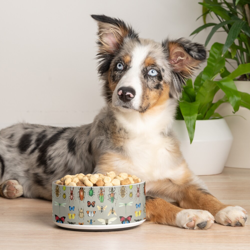 Item preview, Pet Bowl designed and sold by Cecca-Designs.