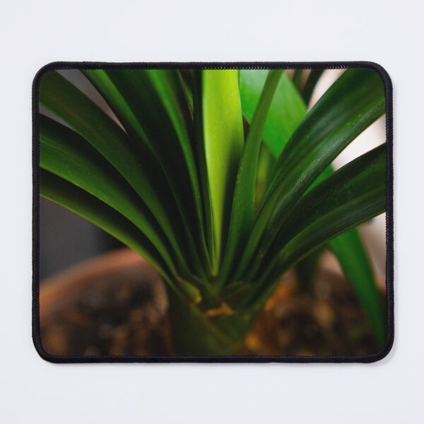 Item preview, Green Stem designed and sold by cobysugarsphoto.