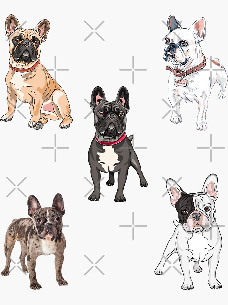 French bulldog outlet presents