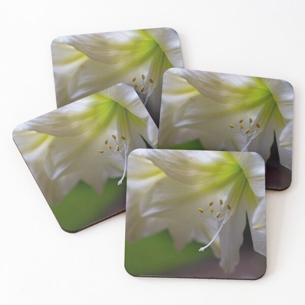 Item preview, White Lily designed and sold by cobysugarsphoto.