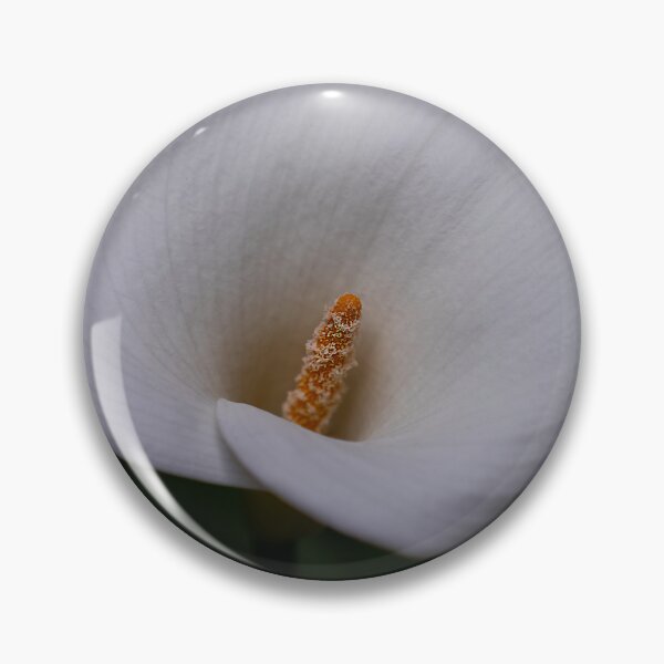 Item preview, Calla Lily Close Up designed and sold by cobysugarsphoto.