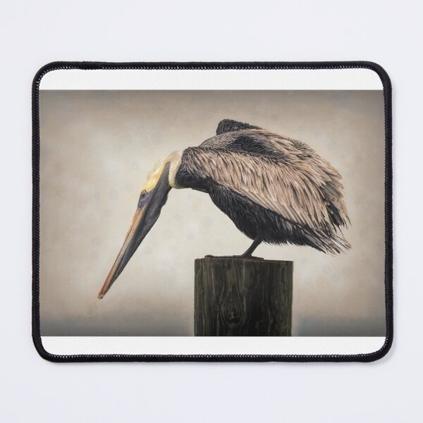 Item preview, Florida Brown Pelican on Textured Background designed and sold by nbrandsberg.