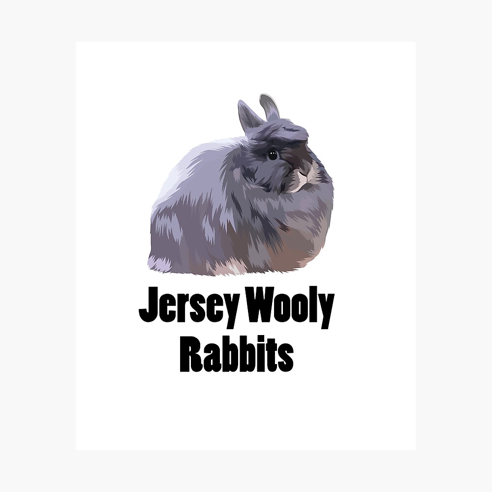 Touhou Óptima Detector Póster «Jersey conejos lanudos» de joyfuldesigns55 | Redbubble