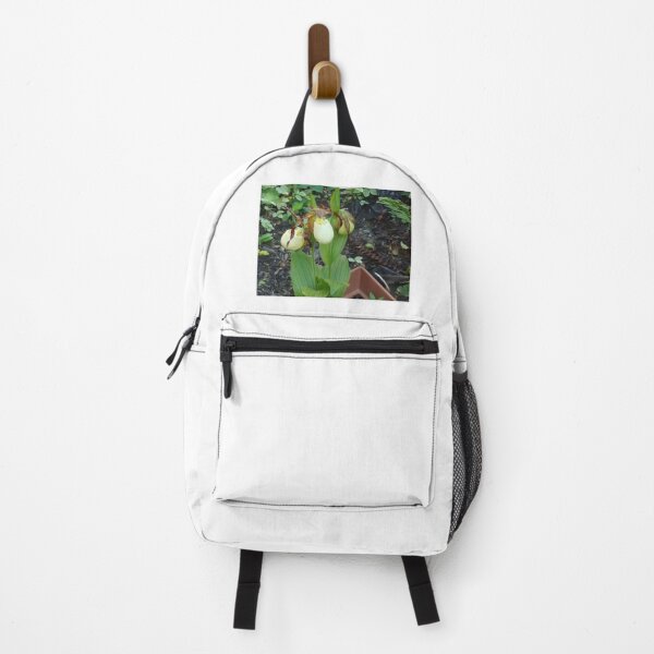 Item preview, Lady Slipper Orchids in Bloom designed and sold by Anthony Seeker.