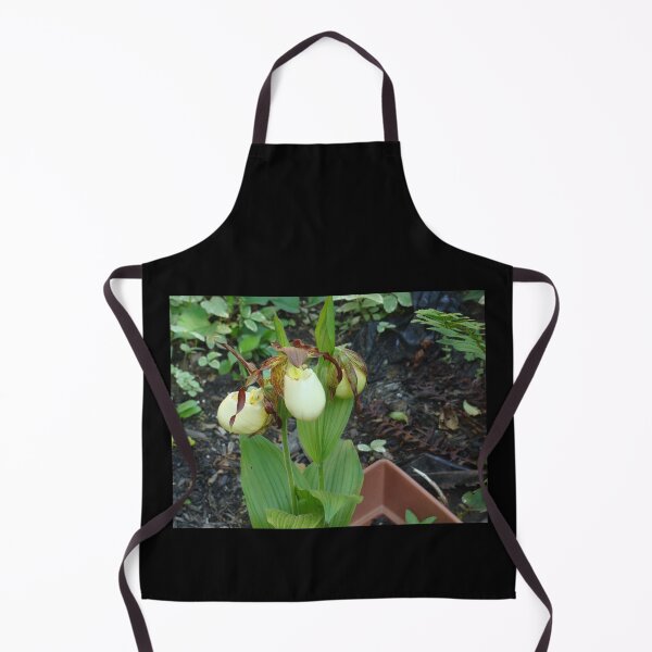 Item preview, Lady Slipper Orchids in Bloom designed and sold by Anthony Seeker.