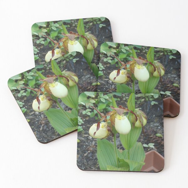 Item preview, Lady Slipper Orchids in Bloom designed and sold by Anthony Seeker.