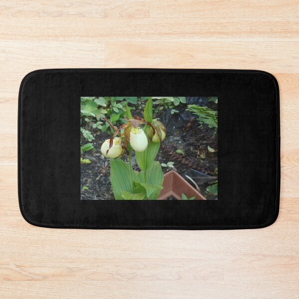 Item preview, Lady Slipper Orchids in Bloom designed and sold by Anthony Seeker.