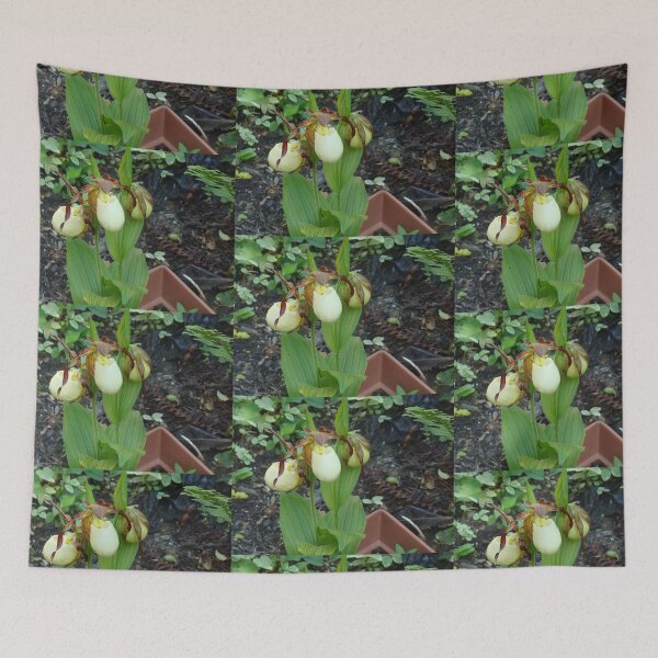 Item preview, Lady Slipper Orchids in Bloom designed and sold by Anthony Seeker.
