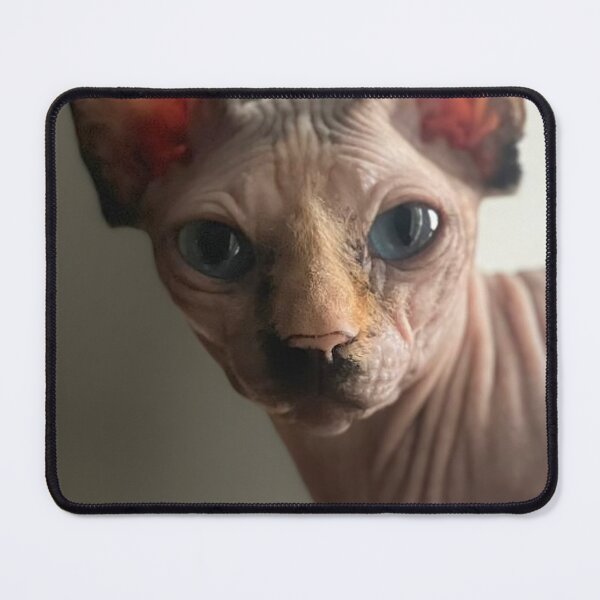 Item preview, Sphynx cat designed and sold by Jenslemmens.