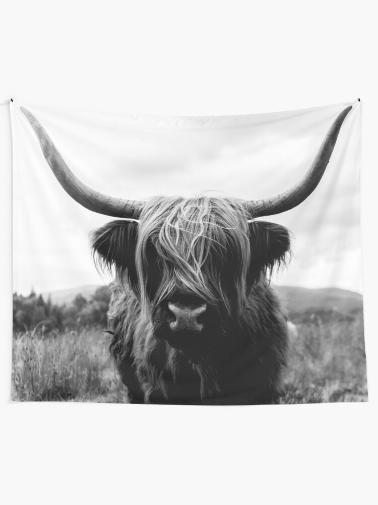 Alternate view of Scottish Highland Cattle - Black and White Animal Photography Tapestry