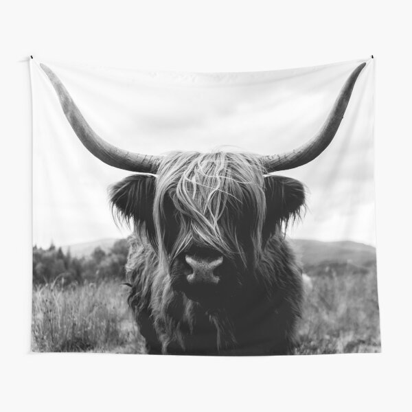 Scottish Highland Cattle - Black and White Animal Photography Tapestry
